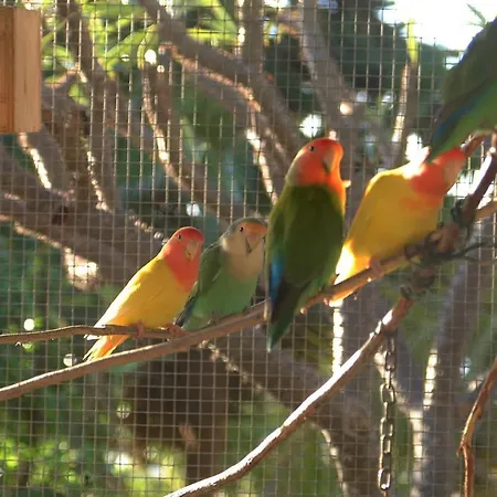 Jardin De Aridane Ośrodek wypoczynkowy 3*