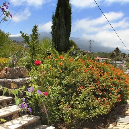 Jardin De Aridane 리조트 3*