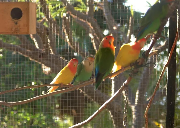 Jardin De Aridane Ośrodek wypoczynkowy 3*