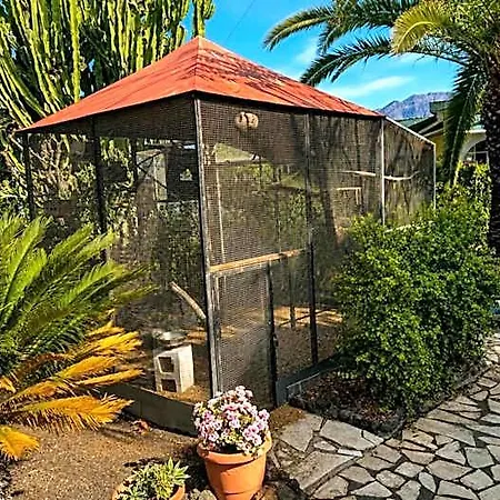 Üdülőközpont Jardin De Aridane El Paso